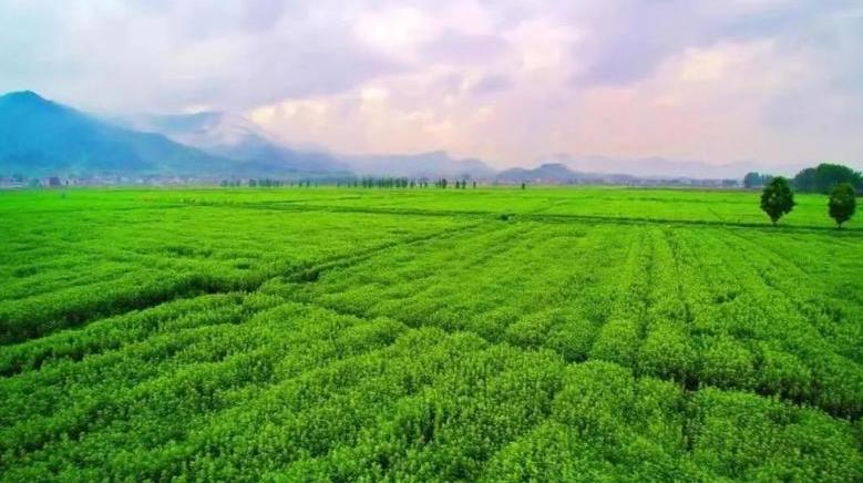 祝贺！蕲春县生物多样性保护成功入选全国优秀案例